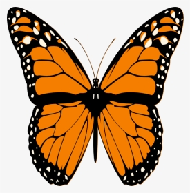 Butterfly Tattoo Butterfly Picture Butterfly - Printable Monarch Butterfly Template, HD Png Download, Transparent PNG