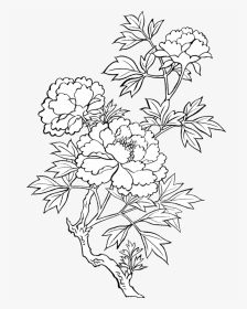Pin By Libu E - Japanese Flower Line Drawing, HD Png Download, Transparent PNG