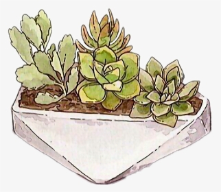#freetoedit #cactus #succulent #tumblr - Cartoon, HD Png Download, Transparent PNG