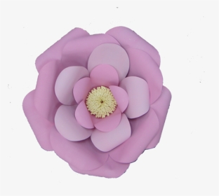 Flores De Cartulina Gnd - Japanese Camellia, HD Png Download, Transparent PNG