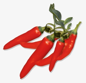 Graphic Free Capsicum Annuum Pepper Fruit - Pepper, HD Png Download, Transparent PNG