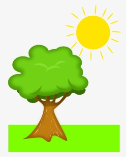 Transparent Sunny Clipart - Cartoon Transparent Background Tree Clipart, HD Png Download, Transparent PNG