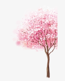 #cherryblossom #tree - Cherry Blossom Tree Transparent Background, HD Png Download, Transparent PNG