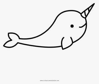 Cute Narwhal Coloring Pages, HD Png Download, Transparent PNG