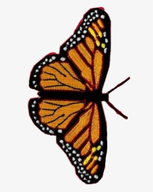 #butterfly #vsco #monarch #edits #pretty #remix #aesthetic - Butterfly Iphone 11 Case, HD Png Download, Transparent PNG