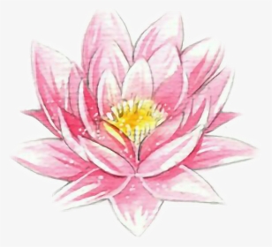#spring #flower #pink - Dibujos De Flores Realistas, HD Png Download, Transparent PNG
