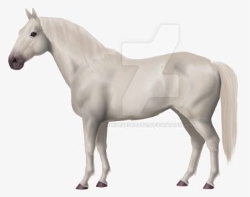 Thumb Image - White Horse Png, Transparent Png, Transparent PNG