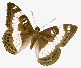Brown And White Striped Butterfly, HD Png Download, Transparent PNG