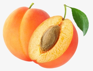 Apricot Kernel Amygdalin Fruit Almond - Apricot Transparent Png, Png Download, Transparent PNG