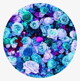 #circle #⭕ #rose #roses #rosecircle #aesthetic #aestheticcircle - Wallpaper, HD Png Download, Transparent PNG