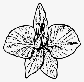 Larkspur Flower Tattoo, HD Png Download, Transparent PNG