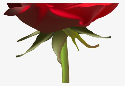 Beautiful Red Rose Png Clip Art Image Gallery Yopriceville - Rose, Transparent Png, Transparent PNG