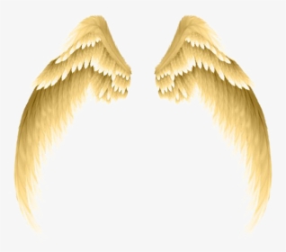 Photography Clip Art - White And Red Angel Wings, HD Png Download, Transparent PNG