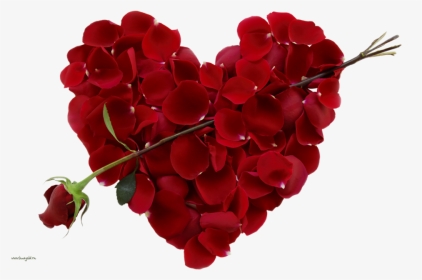 New Images Of Download Rose Flower Awesome Beautiful - Post For Valentine's Day, HD Png Download, Transparent PNG