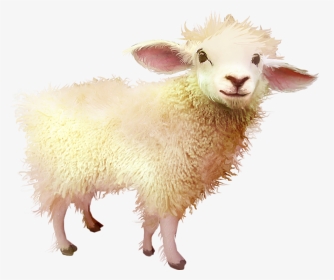 Sheep , Png Download - Baby Sheep Png, Transparent Png, Transparent PNG