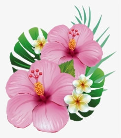#flowers #summer #nice #holiday #jolie #rose 🌸🌹🌺 - Flores De Moana, HD Png Download, Transparent PNG