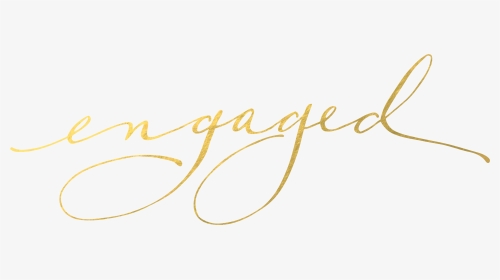 Engaged Asheville - Calligraphy, HD Png Download, Transparent PNG