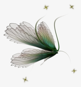 Thumb Image - Tinker Bell, HD Png Download, Transparent PNG
