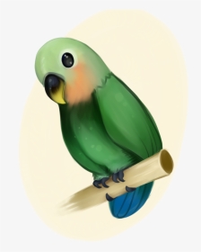 Birb Drawing Love Bird Huge Freebie Download For Powerpoint - Green Peach Faced Lovebird Vector, HD Png Download, Transparent PNG