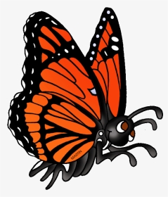 Clip Art Viceroy Clipart - Animals Can Butterfly Clipart, HD Png Download, Transparent PNG