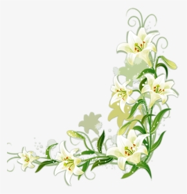 Lily Vector Border - White Flower Border Transparent, HD Png Download, Transparent PNG
