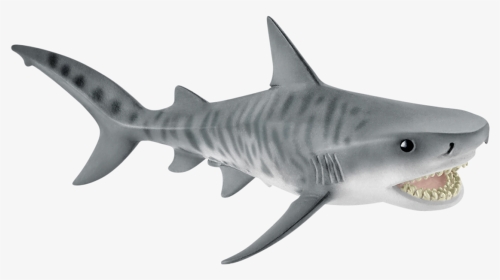 Tiger Shark Toys, HD Png Download, Transparent PNG