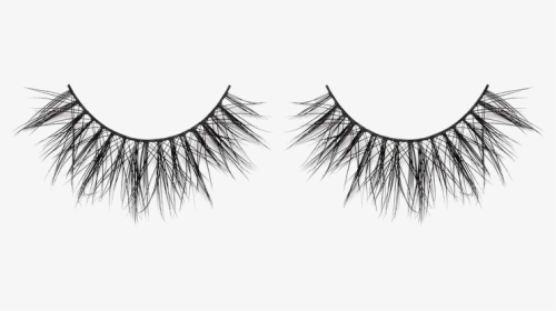 Lilly Lashes Mink Lashes, HD Png Download, Transparent PNG