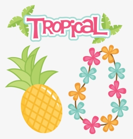 Clipart Festa Tropical, HD Png Download, Transparent PNG