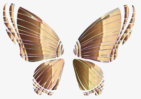 Butterfly,symmetry,moth - Alas De Mariposa Png, Transparent Png, Transparent PNG