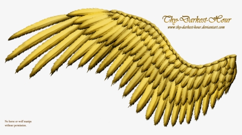 Bird Wings Hd Png, Transparent Png, Transparent PNG