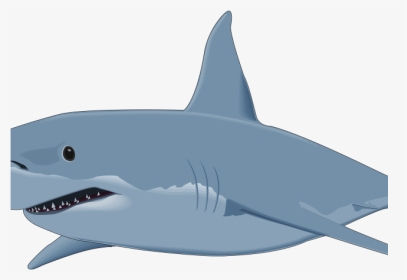 Bull Shark Clipart Shark Shadow - Great White Shark Clipart, HD Png Download, Transparent PNG