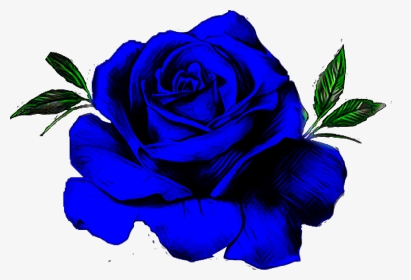 #blue #rose #flower - Floribunda, HD Png Download, Transparent PNG