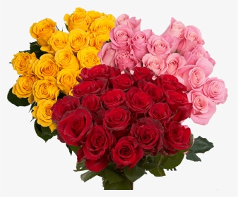 Beautiful Red And Color Roses - Rose, HD Png Download, Transparent PNG