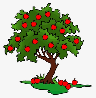Clip Art Apple Tree Clipart - Apple Tree Clipart, HD Png Download, Transparent PNG