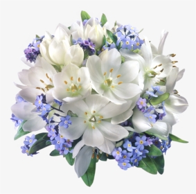 Blue With White Flowers Png, Transparent Png, Transparent PNG