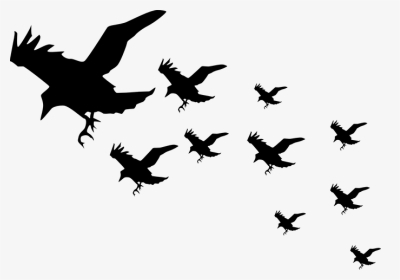 Flock Of Crows Clipart, HD Png Download, Transparent PNG