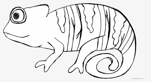 Chameleon Clipart Black And White Clipart Images Gallery - Desert Animals Clipart Black And White, HD Png Download, Transparent PNG