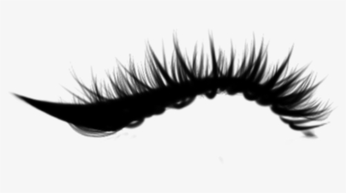#mily 💖  #ciliosdeboneca #ciliosgrande #eyelashes - Eyelash Extensions, HD Png Download, Transparent PNG