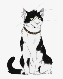 Anime Warrior Cats Bone, HD Png Download, Transparent PNG