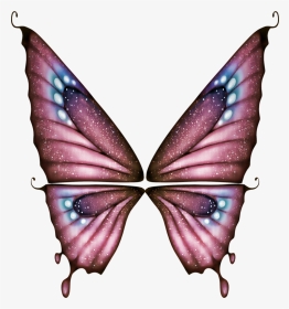 Butterfly Clipart, HD Png Download, Transparent PNG