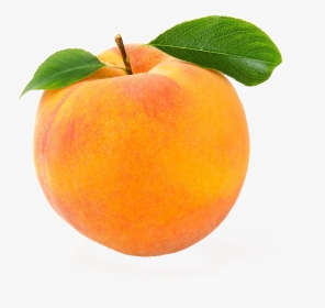 Peach Png Image Download - Individual White Background Fruits And Vegetables, Transparent Png, Transparent PNG