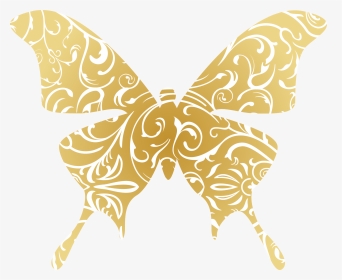 Butterfly Vector, HD Png Download, Transparent PNG