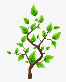 Деревья На Прозрачном Фоне Растровый Клипарт - Arboles Con Hojas Dibujo, HD Png Download, Transparent PNG