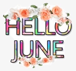# Hello Junio - Hybrid Tea Rose, HD Png Download, Transparent PNG