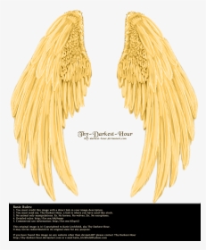 #3213229295, - Golden Angel Wings Png, Transparent Png, Transparent PNG