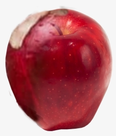 Red Apple, HD Png Download, Transparent PNG