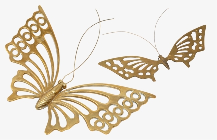 Papilio Machaon, HD Png Download, Transparent PNG