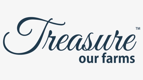 Treasure Word In Different Fonts, HD Png Download, Transparent PNG