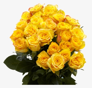 24 Yellow Roses Fresh Flower Bouquets, HD Png Download, Transparent PNG