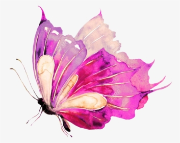 Free Free 325 Watercolor Butterfly Svg SVG PNG EPS DXF File